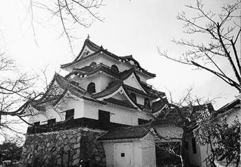 初日をあびる彦根城